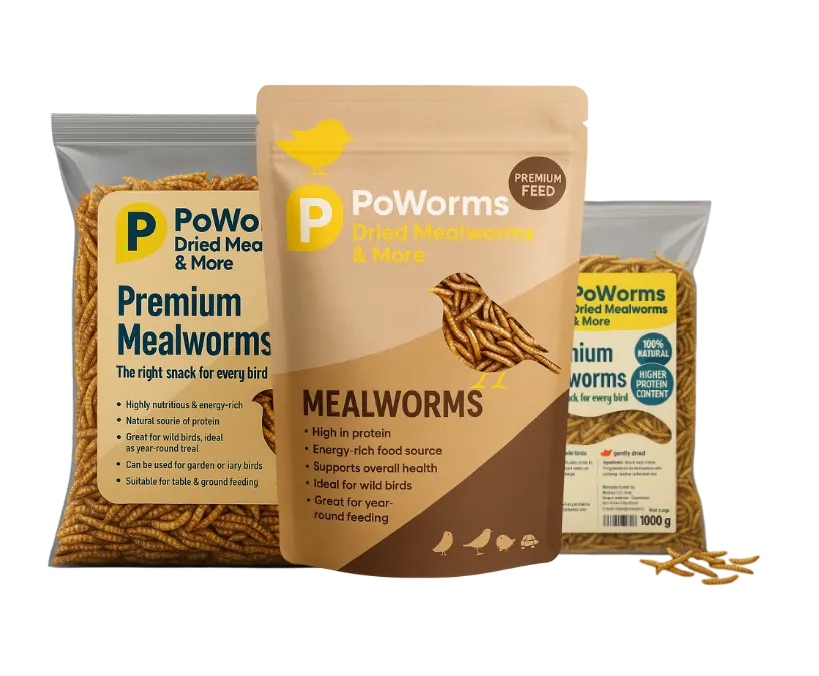 Dried Mealworms from ISEMIPET 1