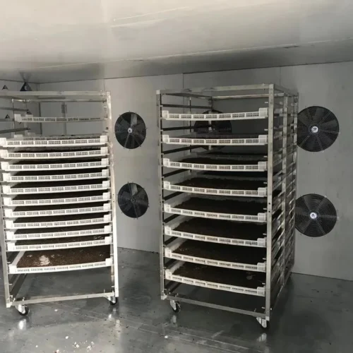 Industrial Microwave Drying Room for Black Soldier Fly Larvae Production, made by PoWorms brand from ISEMIPET
